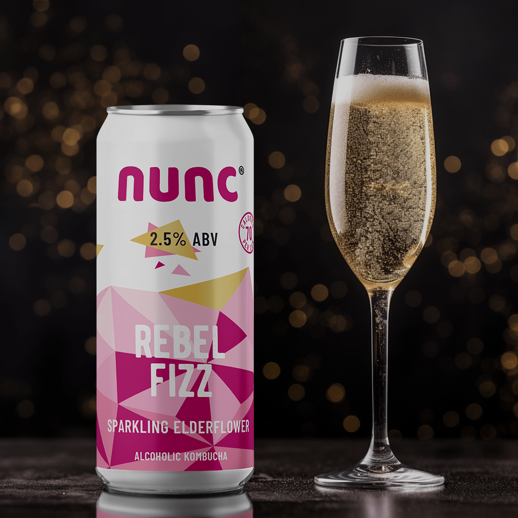 
                  
                    Rebel Fizz: A Bubbly Reverie | 2.5% ABV (10 x 330ml cans)
                  
                
