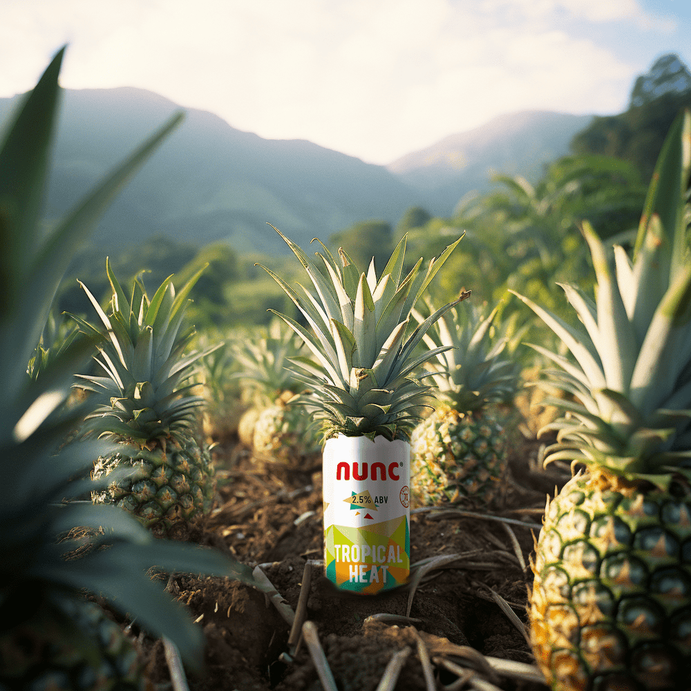 
                  
                    Tropical Heat: Mango, Pineapple with a hint of Chilli | 2.5% ABV (10 x 330ml cans)
                  
                